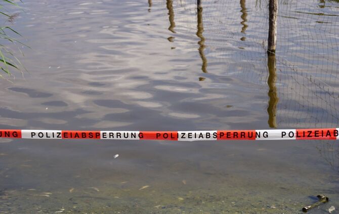 Stuttgart Hofen: Fischsterben am Max Eyth See_2