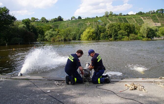 Stuttgart Hofen: Fischsterben am Max Eyth See_3