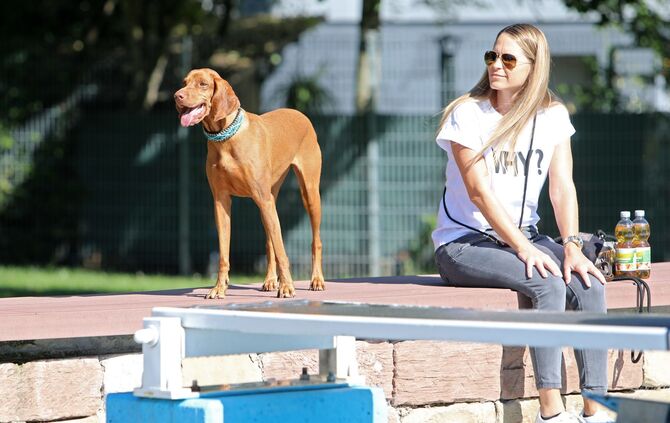 Hundebadetag - Bild 17_16