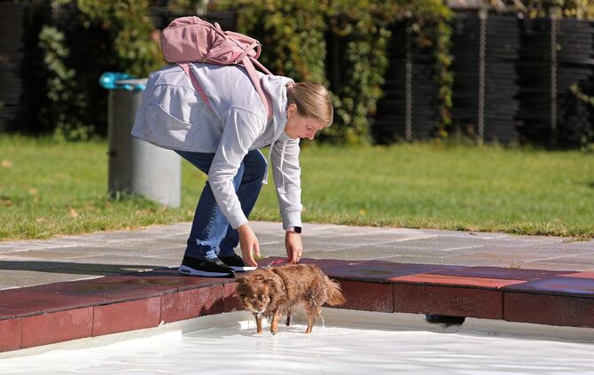 Hundebadetag - Bild 21_20