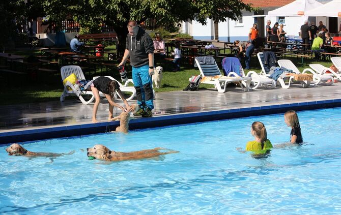 Hundebadetag - Bild 24_23