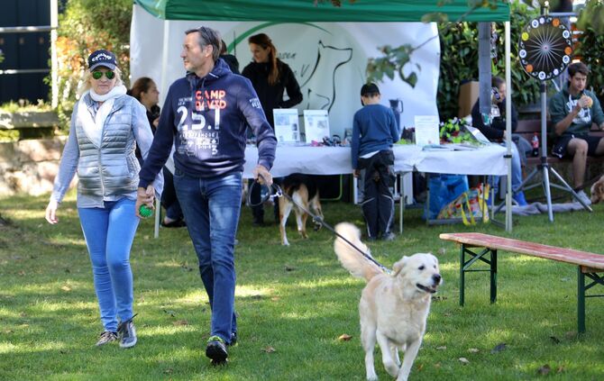 Hundebadetag - Bild 27_26