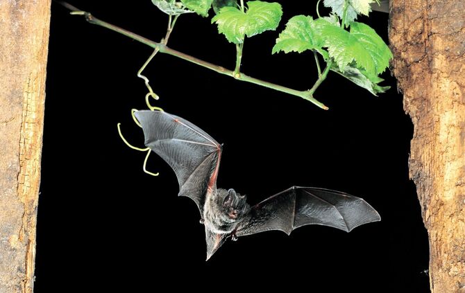 71328154-e326-45b7-a0de-146413650a5f.jpg_0