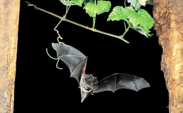 71328154-e326-45b7-a0de-146413650a5f.jpg_0