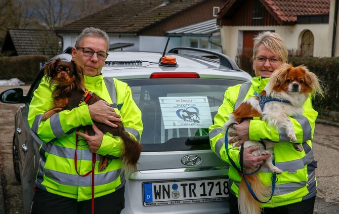 11a9c207-200d-4661-b80b-56d04cbde72d.jpg_0