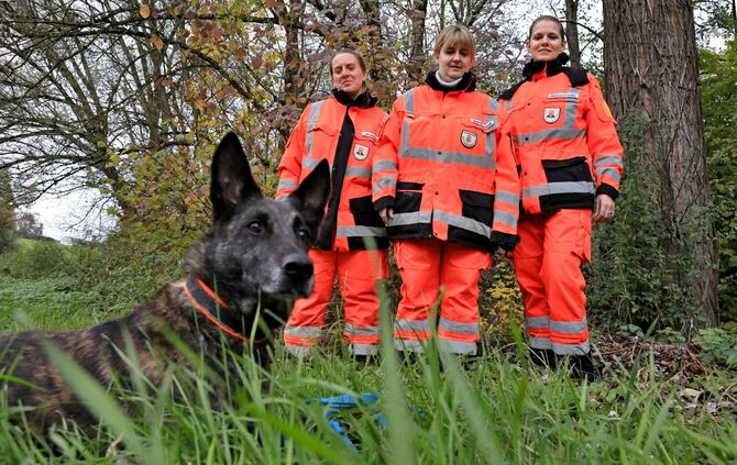 Hund findet vermisste Frau im Wald_0