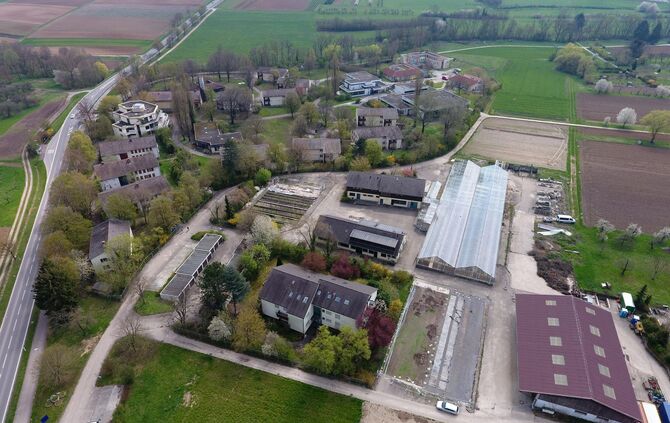 e42a5c26-4a79-4200-9466-82900bdd54ce.jpg_0