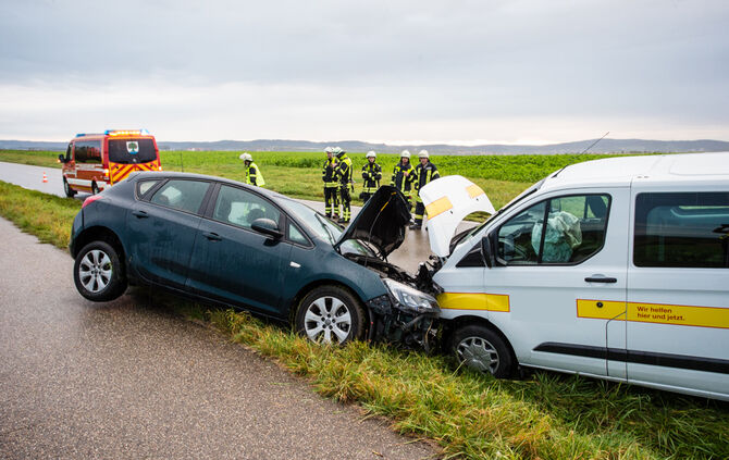 Kleinbus mit Kindern an Bord gerät auf Gegenfahrbahn - Bild 09_8