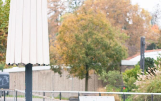 Wilhelma: Seelöwen zurück im Heimatbecken_2