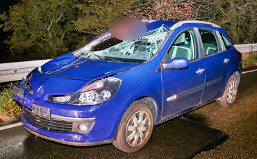 Pkw prallte mit Pferd zusammen - Bild 01_0