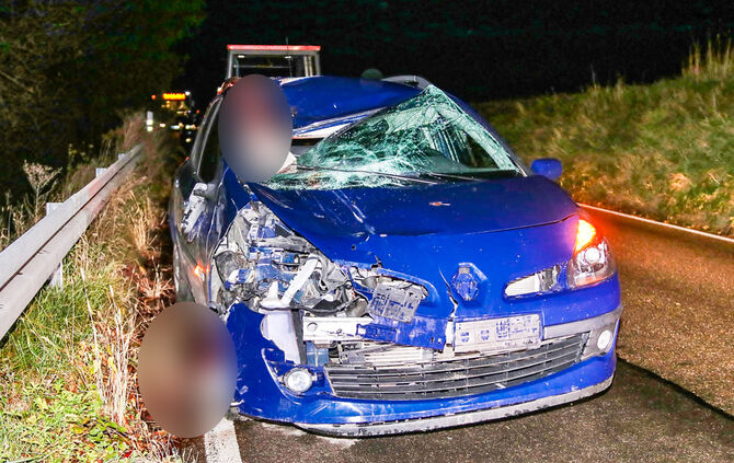 Pkw prallte mit Pferd zusammen - Bild 02_1