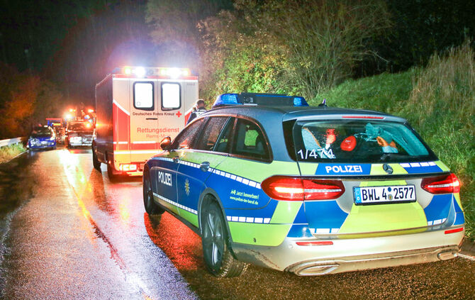 Pkw prallte mit Pferd zusammen - Bild 04_3