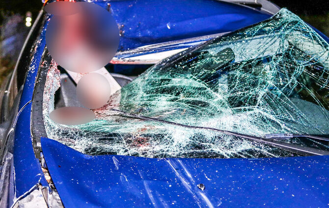 Pkw prallte mit Pferd zusammen - Bild 05_4