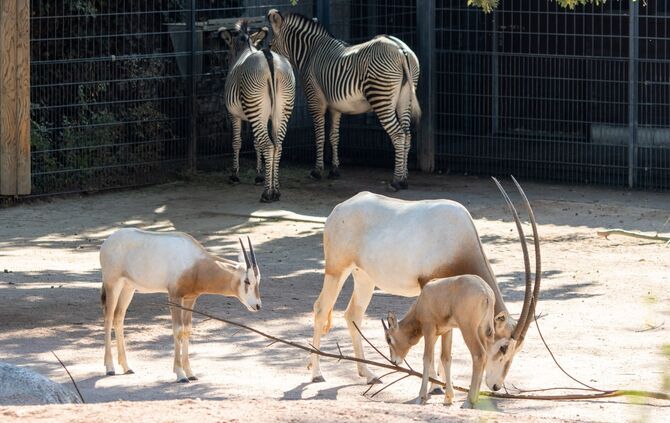 WhatsApp Image 2020-09-25 at 10.26.07 (2)