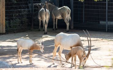 WhatsApp Image 2020-09-25 at 10.26.07 (2)