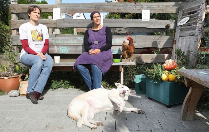 Welt-Tierschutz-Tag