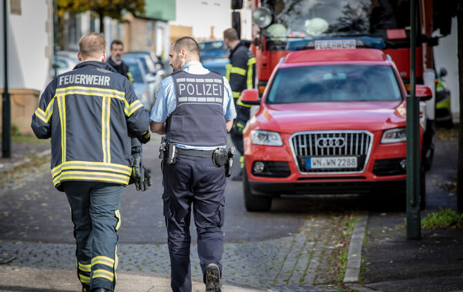 Waschbär klemmte fest - Feuerwehr half - Bild 02_2