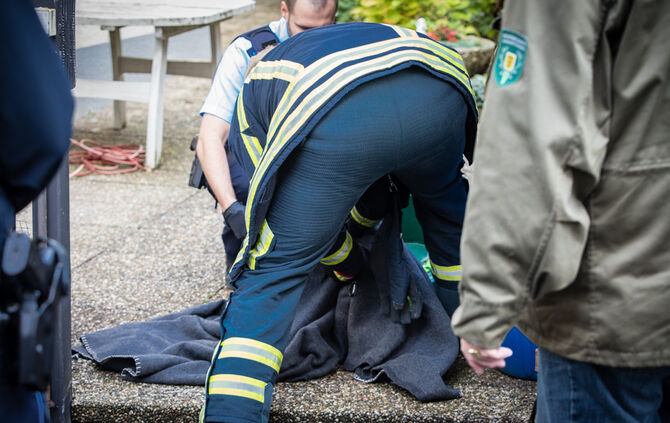 Waschbär klemmte fest - Feuerwehr half - Bild 07_5