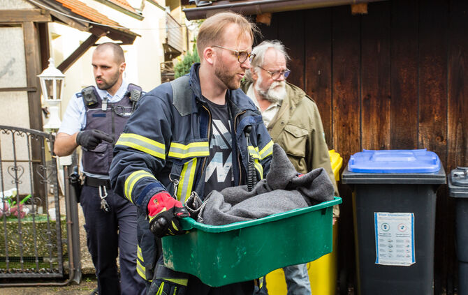 Waschbär klemmte fest - Feuerwehr half - Bild 08_6