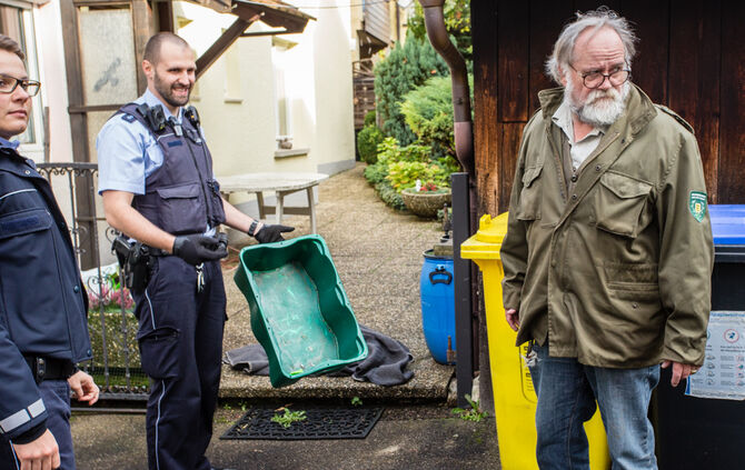 Waschbär klemmte fest - Feuerwehr half - Bild 11_9