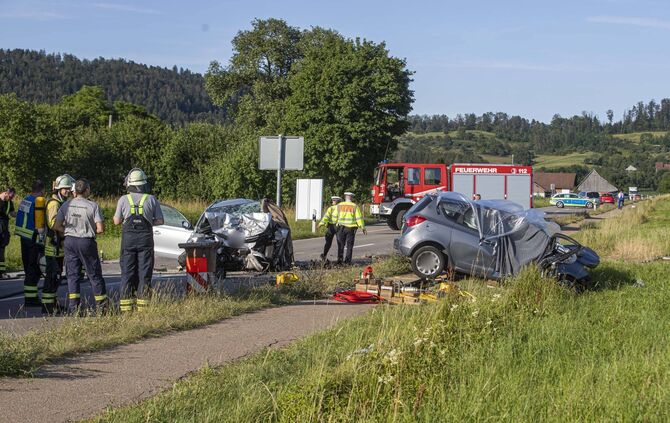 Unfall beim Waldsee_0