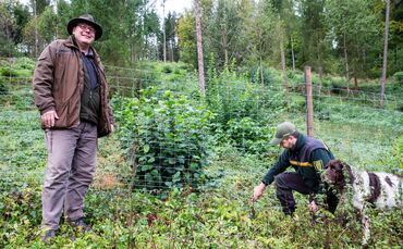 Eingezäunte Aufforstung, Schutz vor Rehverbiss, Jagdpächter und Forstrevierleiter Julian Schmitt im Stadtwald von Schorndorf, 07