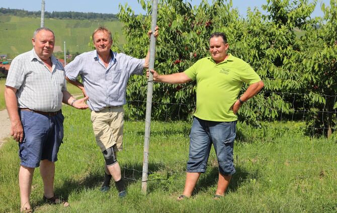 6dfc99b6-c157-4958-811b-583ba783f645.jpg_0