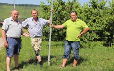 6dfc99b6-c157-4958-811b-583ba783f645.jpg_0