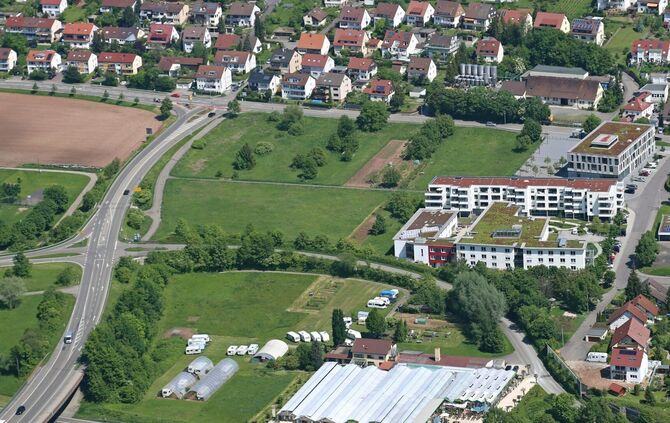 9240329b-d50e-48a9-9ac1-0149b7fdfa7c.jpg_0