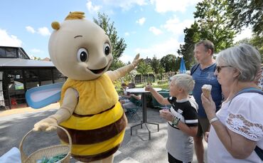 Selbstversuch Remsi_0