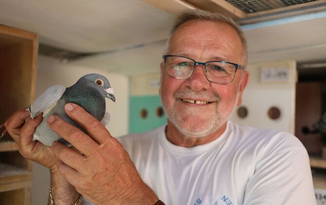 Brieftaubenzüchterverein "Stauferbote"_0