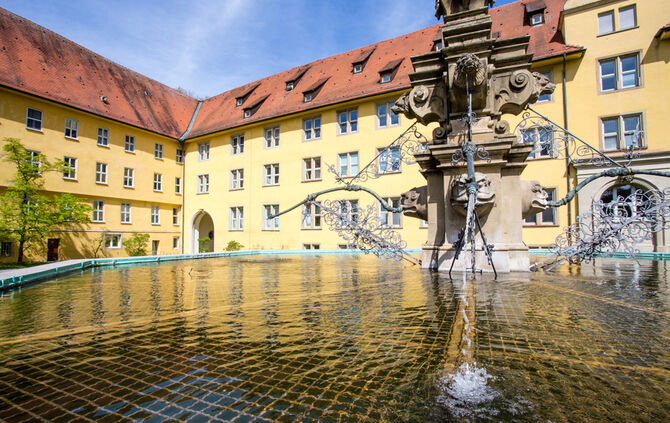 Fische sterben - Bild 21_3