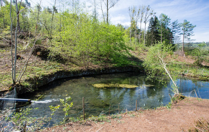 Fische sterben - Bild 13_11