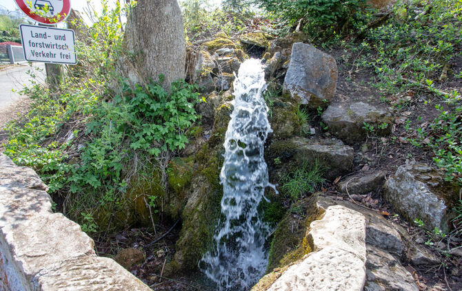 Fische sterben - Bild 01_21