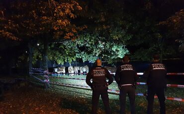 Polizeieinsatz wegen 15 Rindern
