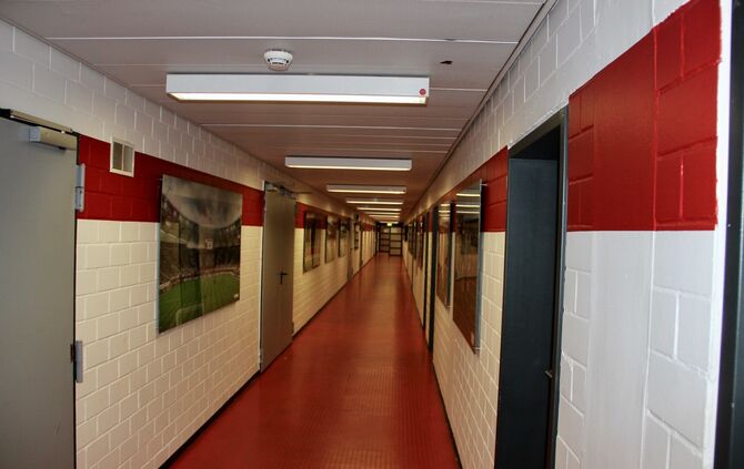 VfB bietet 360°-Stadiontour an_9