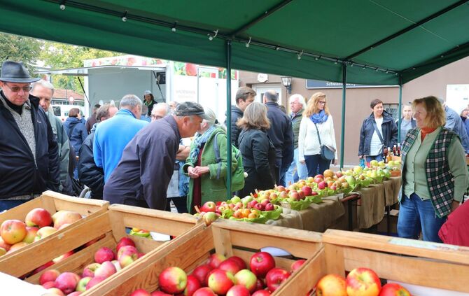 Rudersberger Apfelmarkt_0