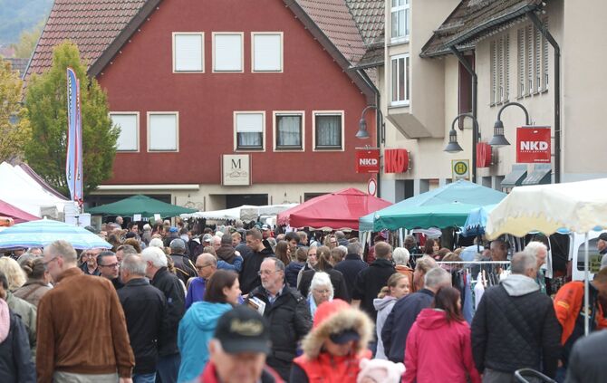 Rudersberger Apfelmarkt_1