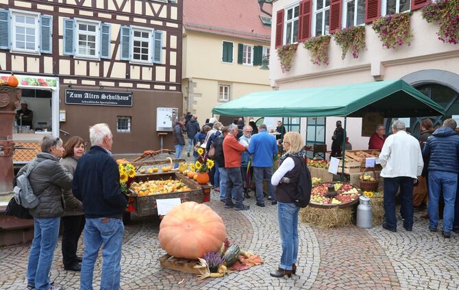 Rudersberger Apfelmarkt_5