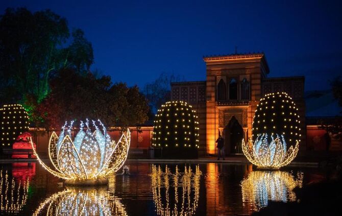 Christmas Garden in der Stuttgarter Wilhelma