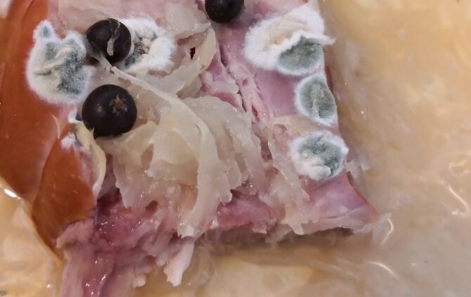 Gammelfleisch