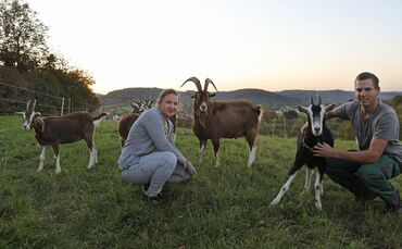 Ziegen meckern nicht nur_0