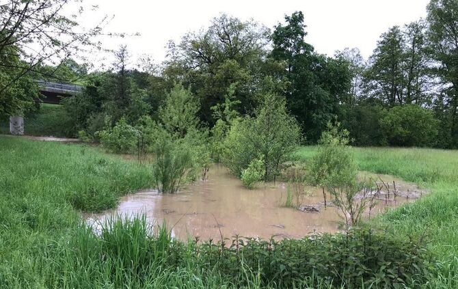 Hochwasser 20190521 Oppenweiler Murr_15