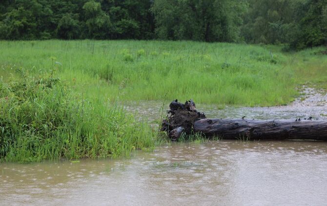 Hochwasser 20190521 Rems diverse Orte_19