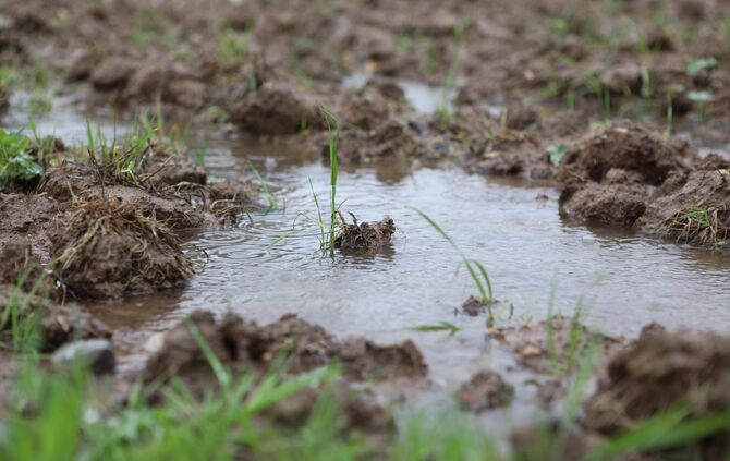 Hochwasser 20190521 Rems diverse Orte_20