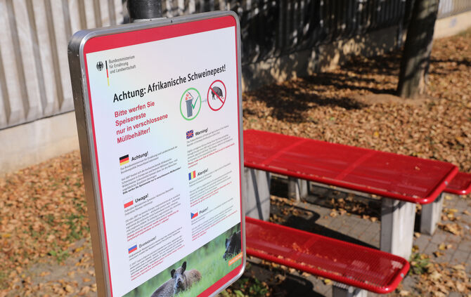 Achtung Afrikanische Schweinepest