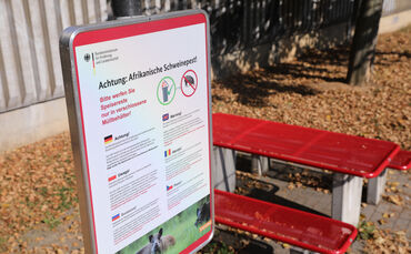 Achtung Afrikanische Schweinepest