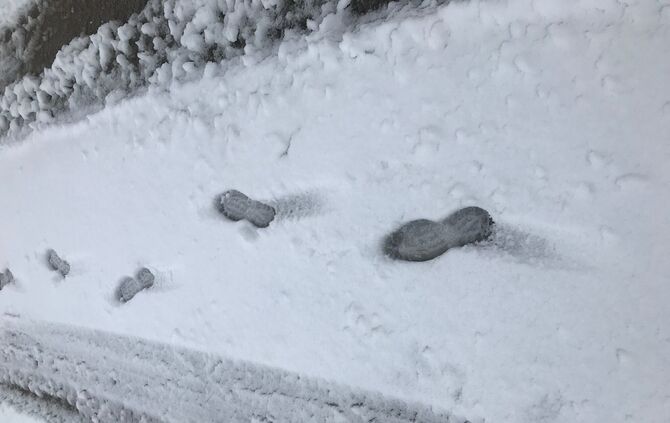 Erster Schnee 2019 Welzheim Kasisersbach_3