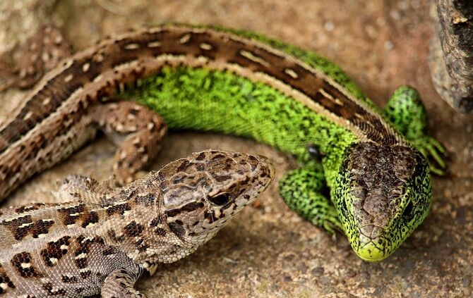 512f887b-a6fe-400e-8357-9f3f589accc0.jpg_0