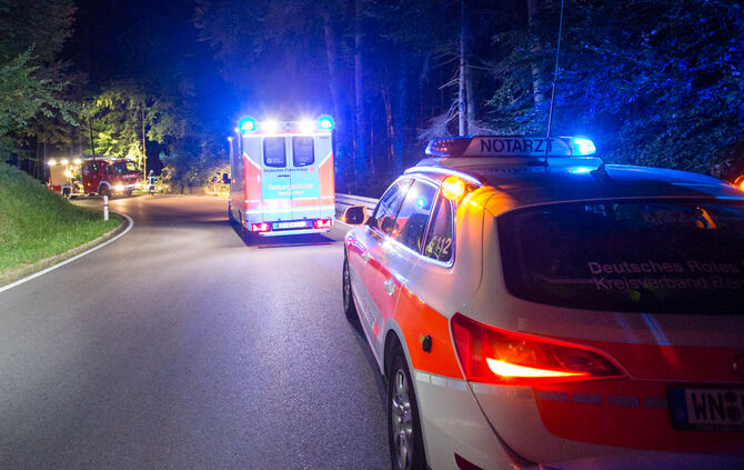 Pick-Up Truck im Wald gelandet - Bild 02_0